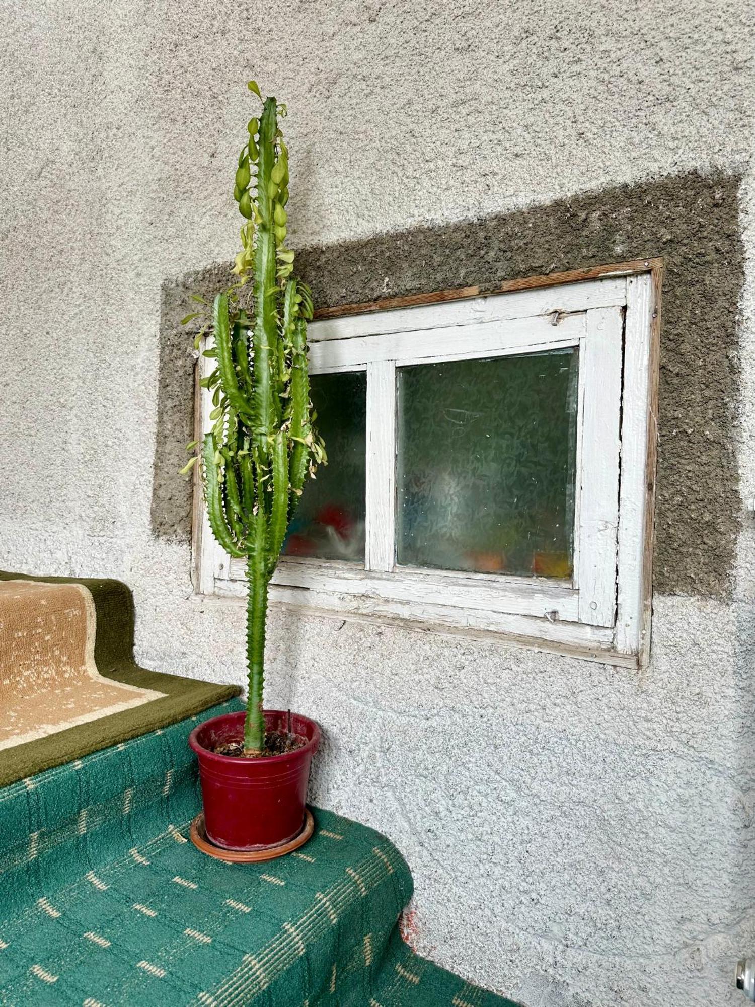Kayyr Guest House Orgochor Buitenkant foto