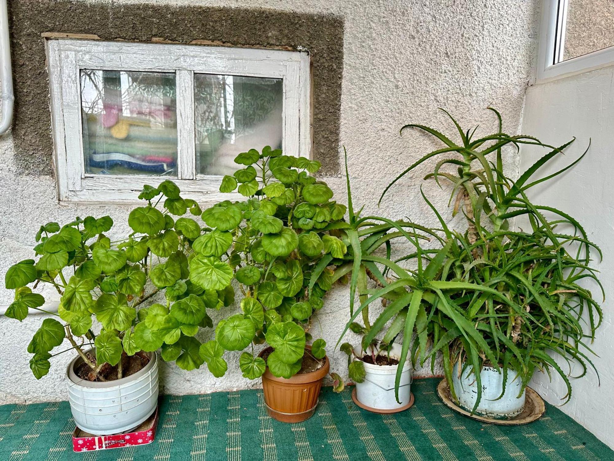 Kayyr Guest House Orgochor Buitenkant foto